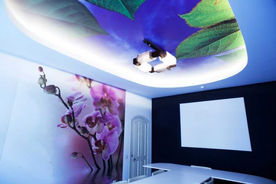 Натяжные потолки с фотопечатью (90 фото): потолочные покрытия с печатью, образцы для спальни и прихожей, варианты на стену