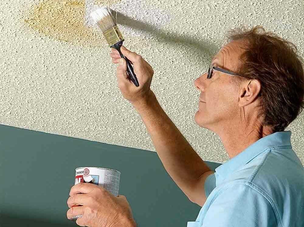 Побелка потолка водоэмульсионной краской своими руками: пошаговая инструкция