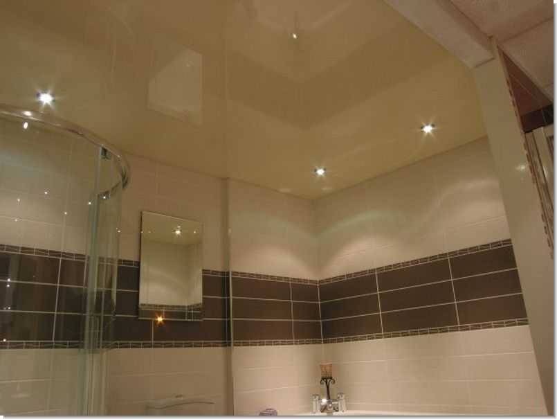 Потолок в ванной: топ 6 вариантов | 17 фото