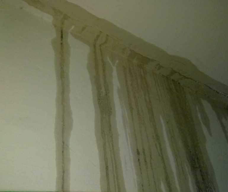 Ремонт потолка после протечки своими руками — чем обработать после затопления. как покрасить, ремонт протечек, как заделать протечку на потолке, как исправить
