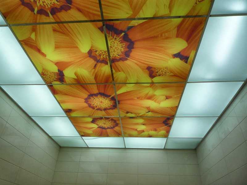 Стеклянный подвесной потолок - эстетично и привлекательно