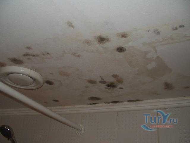 Потолок в ванной комнате: пвх или натяжной, фото обзор