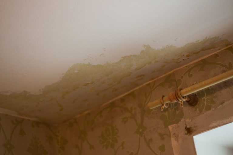 Натяжной потолок затопило, что делать? | стройка.ру