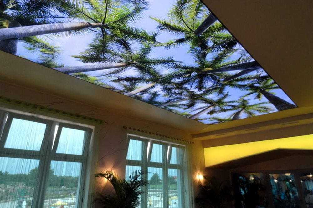 Натяжные 3d потолки (41 фото): потолочные покрытия с эффектом 3d, модели с рисунком и фотопечатью, увеличивающие пространство