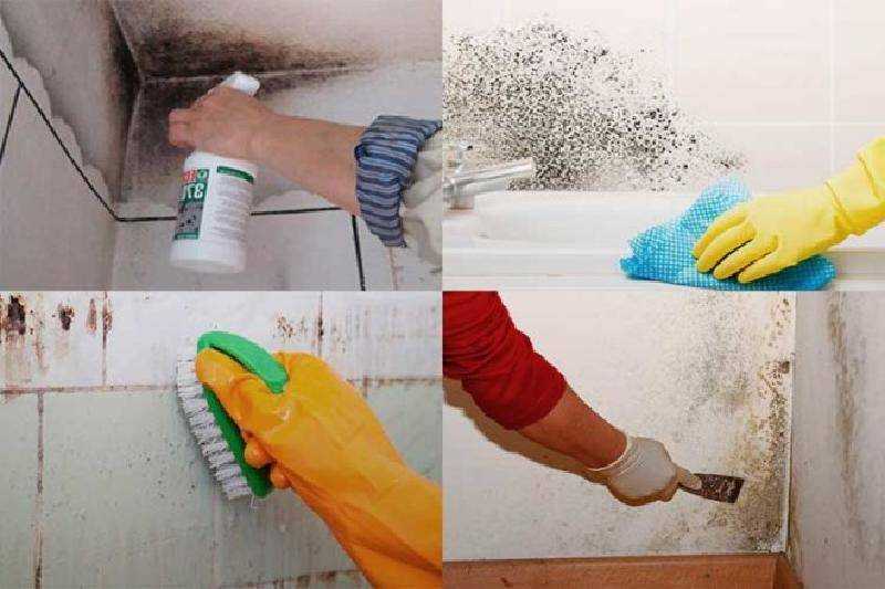 Как убрать плесень в ванной, как вывести грибок (на потолке и плитке стен, с герметика и силикона, на шторе), народные средства и инструкции