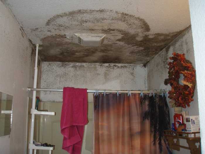 На потолке плесень: как избавиться от грибка на потолке в ванной комнате, обработка, как убрать, удалить грибок и плесень в квартире, как вывести, чем обработать