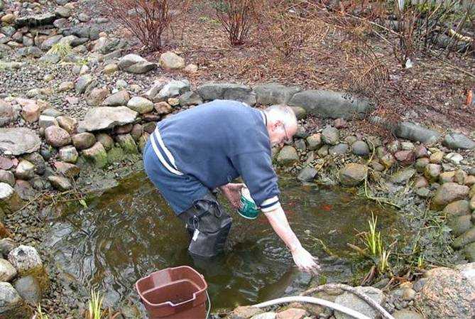 как почистить пруд своими руками В этой статье речь идет о методах очистки воды в пруду и их особенностях
