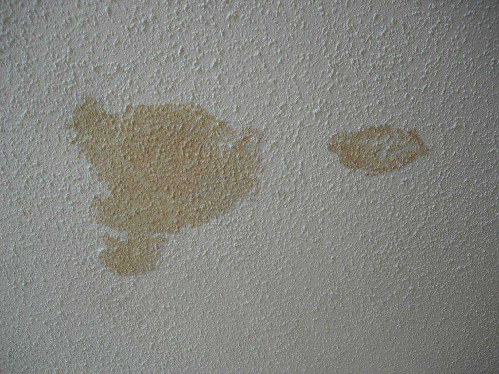 Желтые пятна на потолке: как убрать, закрасить пятно, как избавиться от желтых пятен, как удалить пятна от протечек, что делать, как убрать желтизну