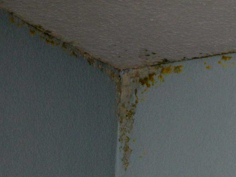 Как убрать трещины на потолке: полезные рекомендации