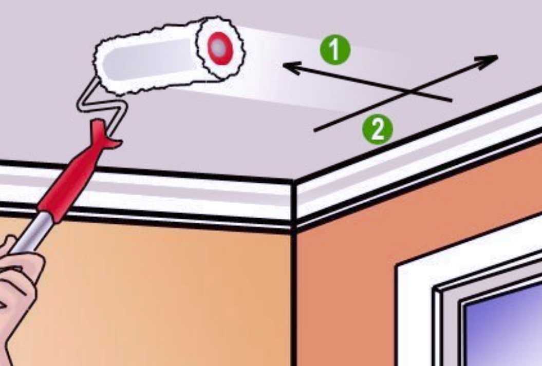 Побелка потолка водоэмульсионной краской своими руками: как правильно побелить, как белить валиком самостоятельно