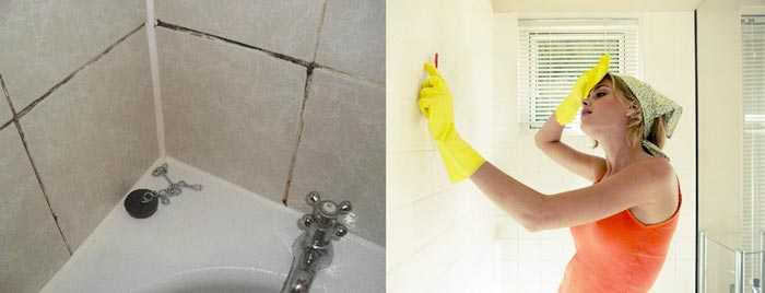 Как вывести грибок в ванной комнате - самые эффективные способы с инструкциями