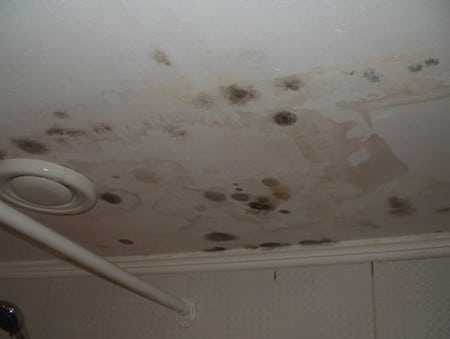 Удаление плесени в квартире в ванной со стен и окон