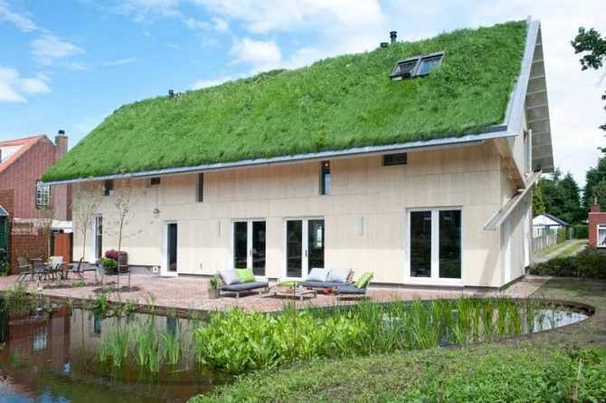 Как сделать газон на крыше - обустройство газона на кровле | стройсоветы