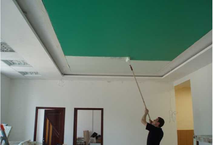 Краска для потолка на кухне какая лучше, потолочная покраска, советы начинающим