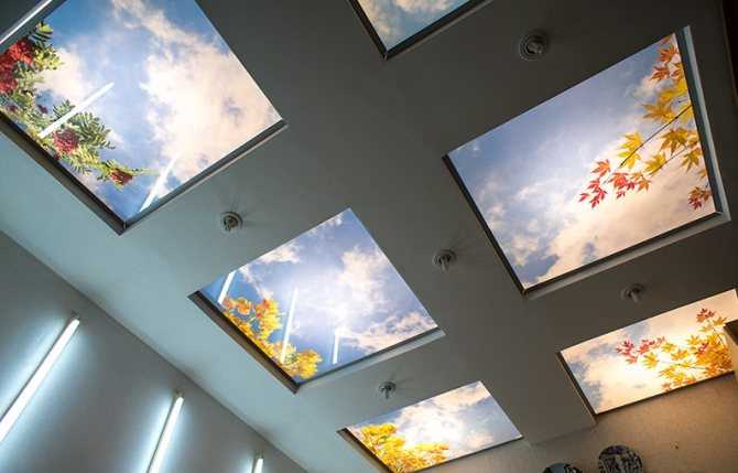 Стеклянный потолок (75 фото): матовые конструкции со вставками из оргстекла и подсветкой, что это, изделия из стекла в дизайне комнаты