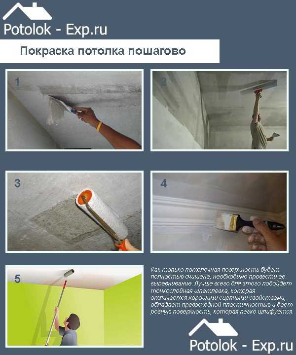 Чем покрасить потолок в квартире: чем красить потолок в комнате, какой краской лучше сделать крашенный потолок, покраска своими руками