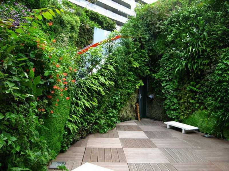 Вертикальное озеленение сада - креативный вертикальный сад