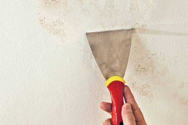 Как очистить стены от водоэмульсионной краски (30 фото)