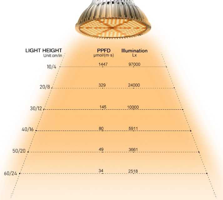 Какие точечные светильники и лампы лучше выбрать для натяжного потолка