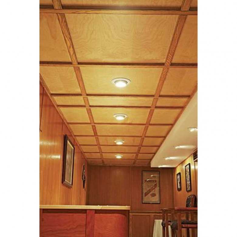 Потолок из фанеры (43 фото): отделка и обшивка потолочного покрытия, чем отделать и как подшить своими руками