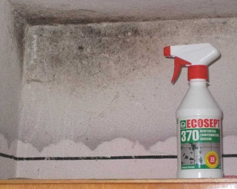 Как убрать плесень с потолка