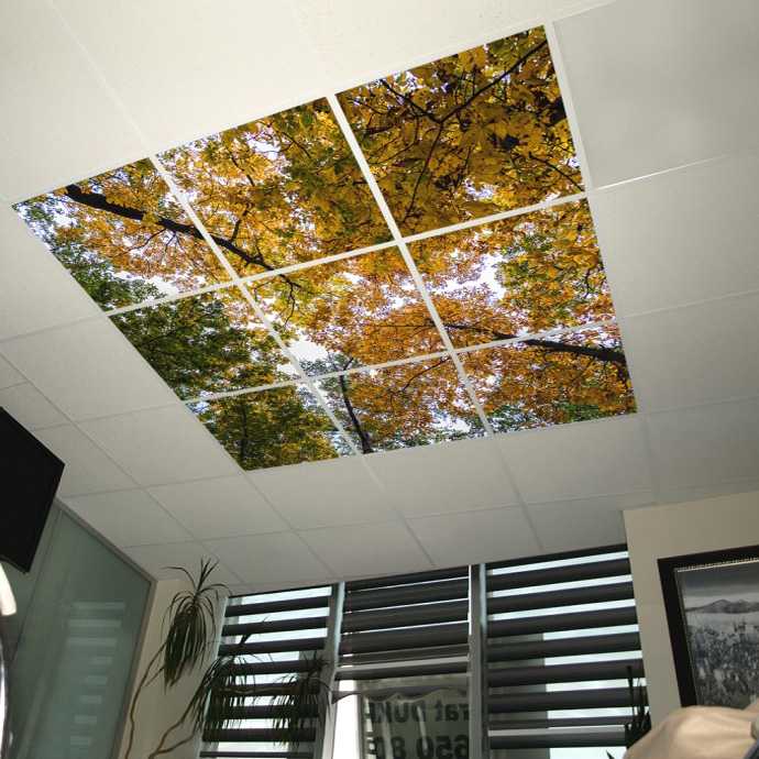 Потолки из стекла в оформлении интерьера разных помещений, виды стеклянных потолков