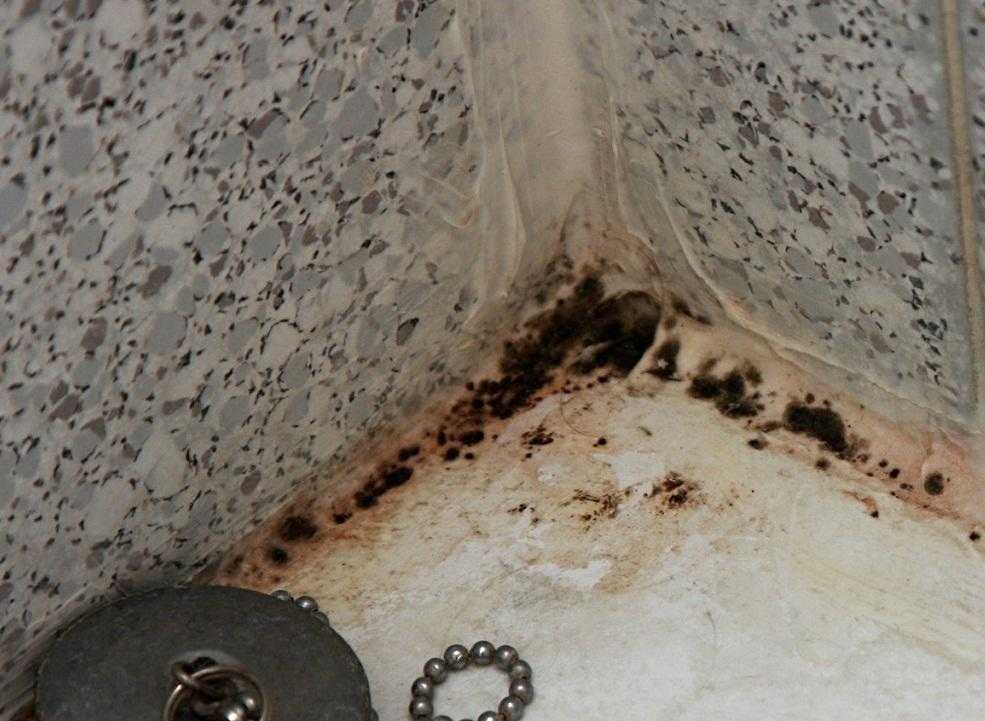 Как быстро избавиться от плесени и грибка на потолке в ванной комнате