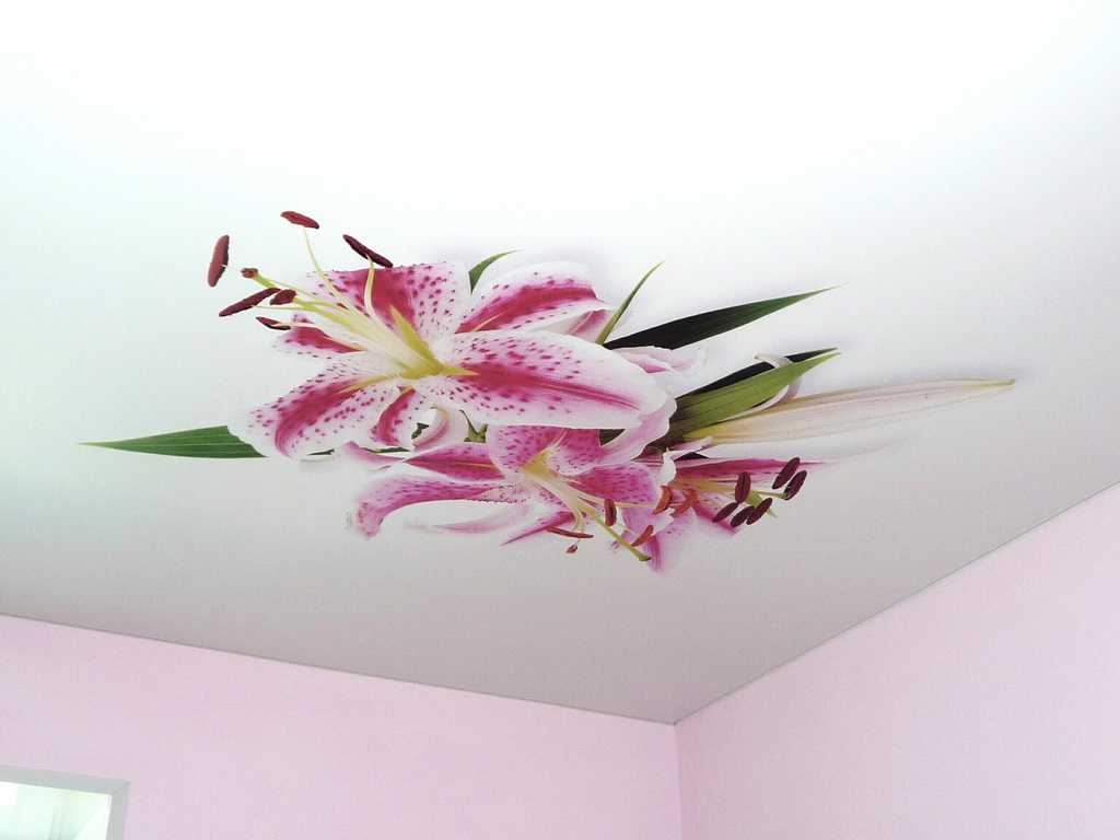 Фото натяжные потолки с цветами - самые разные варианты, 20 фото
