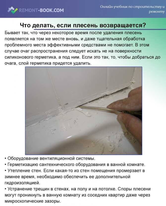 Что делать если под натяжным потолком появилась плесень - premier-potolok.ru