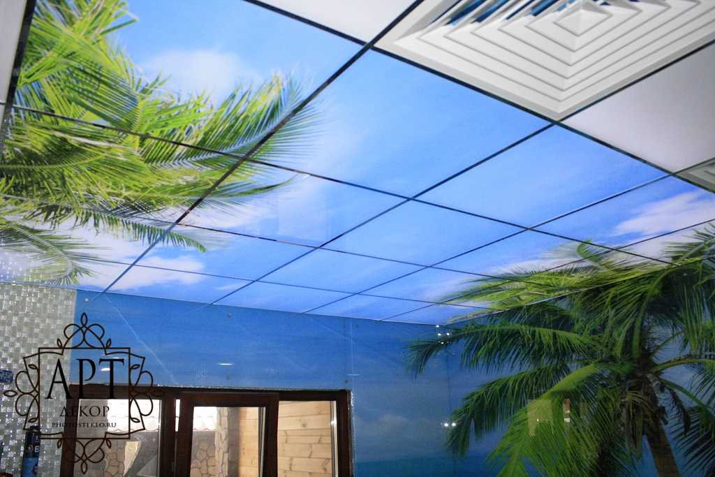 Какие бывают потолки стеклянные – виды, особенности, правила монтажа