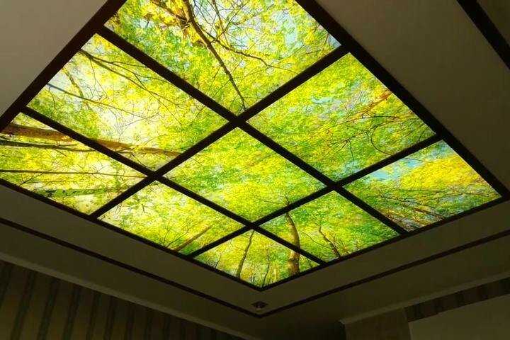 Стеклянные потолки (с подсветкой и без) - 30 фото интерьеров